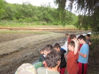 60th_anniversary_campout_0020