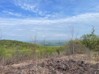 IMG_1504