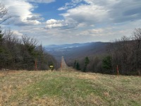 IMG_4523