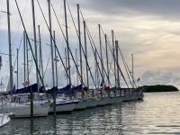 IMG_2726