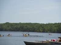 1_DSC04324