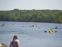 1_DSC04334