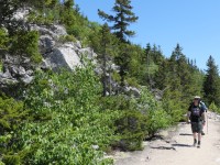 White-Mountains-2023-16