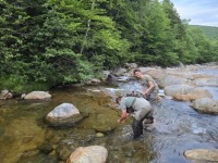 Mt.-Washington-2025-35