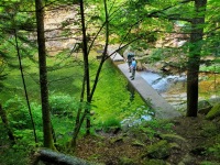 Mt.-Washington-2025-4